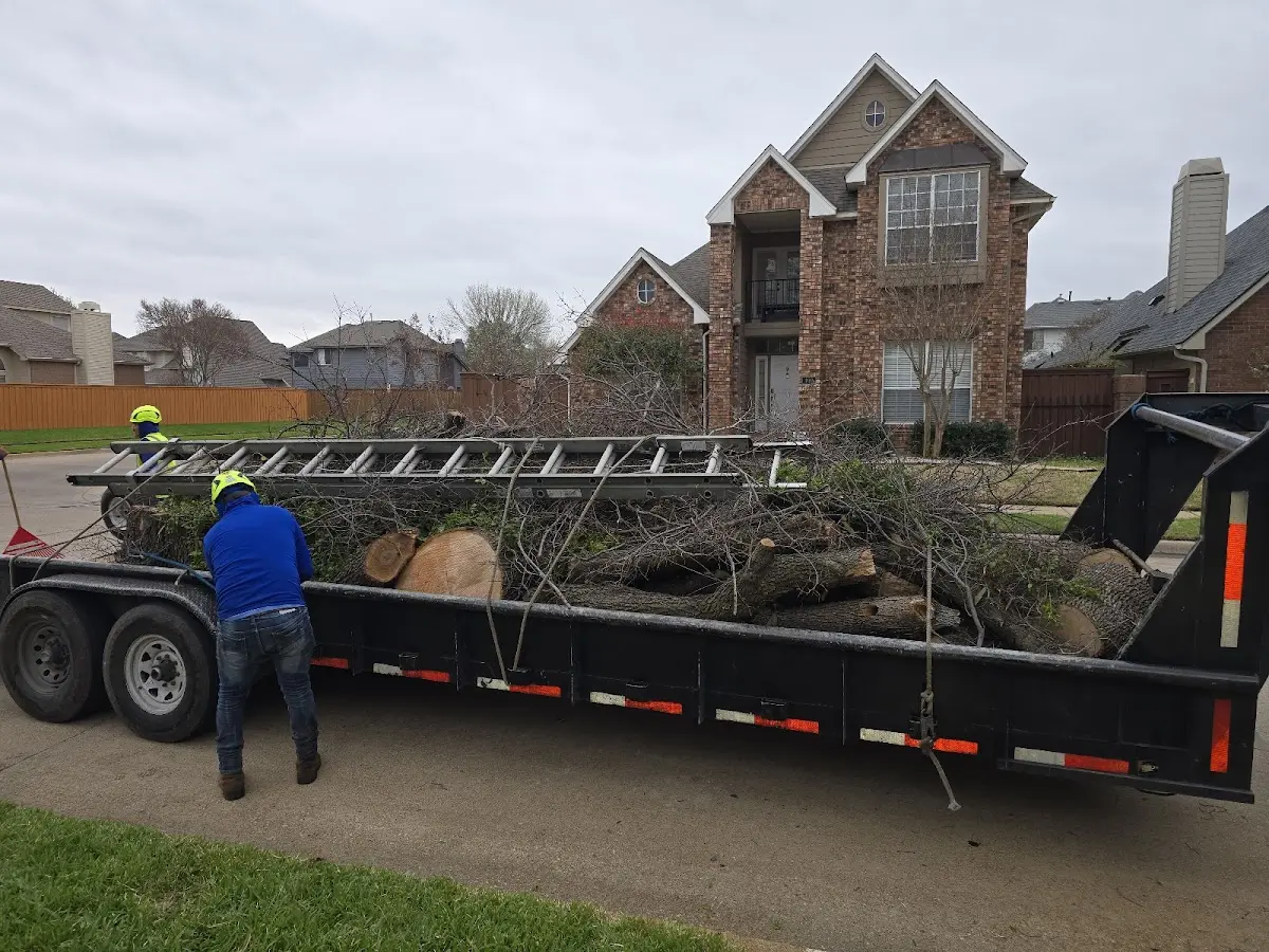 Expert Tree Fertilization with proper safety equipment in Duncan